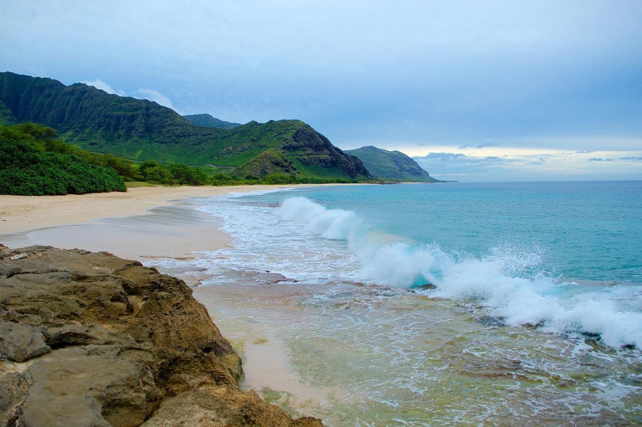Seashore 62 Honolulu Dış mekan fotoğraf
